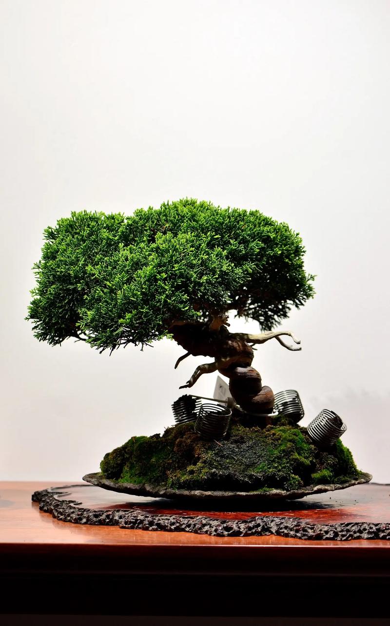 影视国语 影视国语腾讯视频等平台