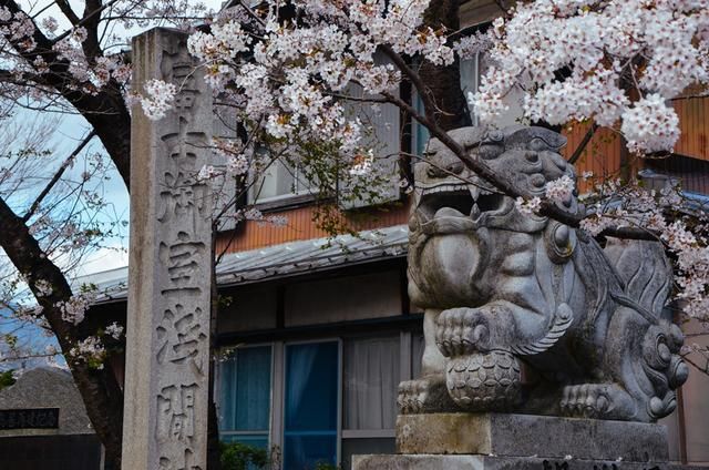 高清网站在线观看