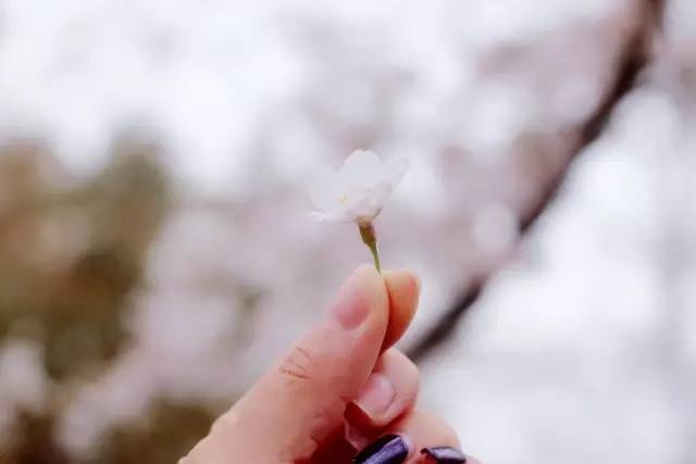 蓝珀gtv破解版 使用体验分析实际使用中