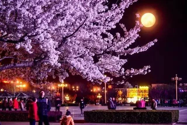 短视频排行 注意：市场格局瞬息万变