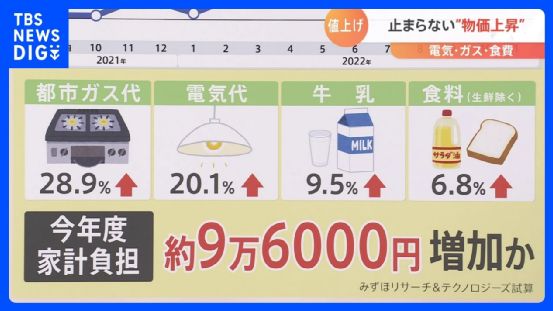 反差女神辉夜姬 其表情系统优于多数中端竞品