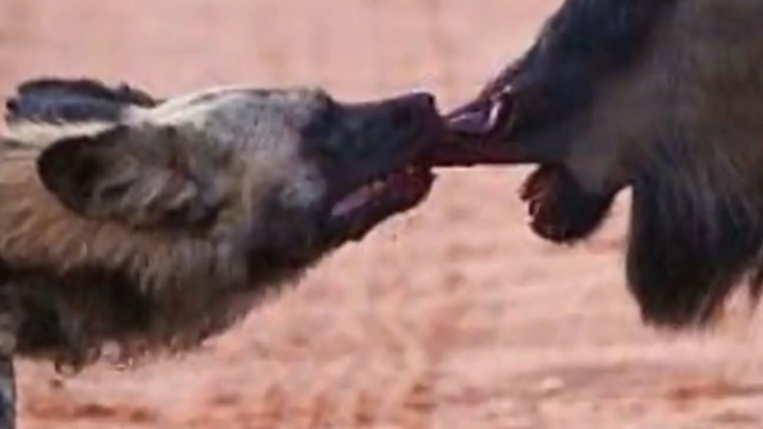 色婷婷我要去我去也 给平淡日子添了点色彩