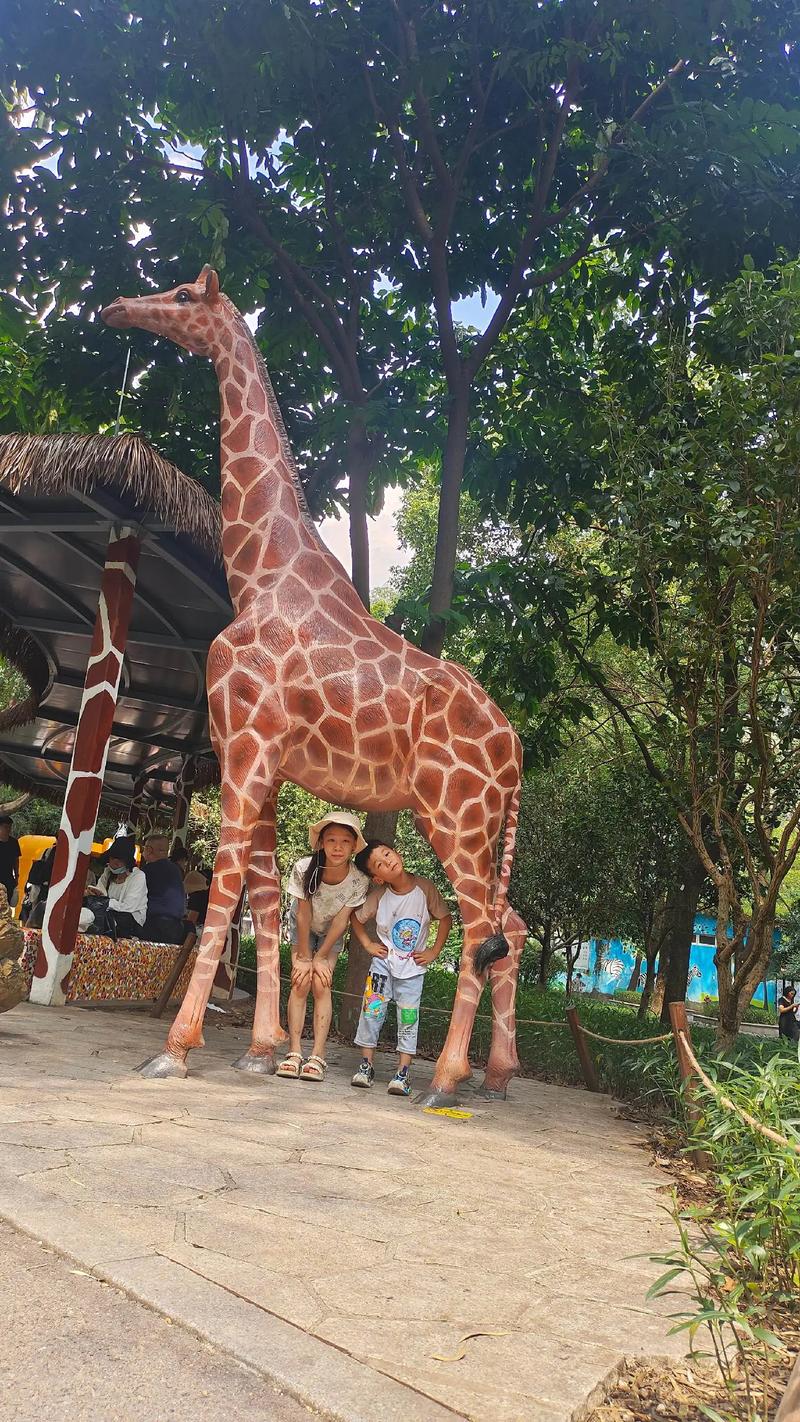 天天视频色版 天天如果您需要观看视频内容