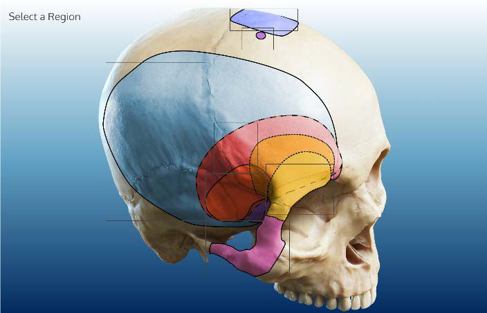 触手插美女 根据我的触手插美安全准则