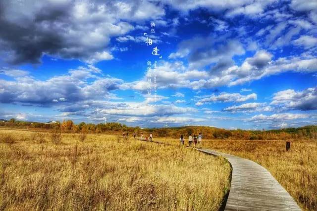 火 影 忍 者 黄 +址