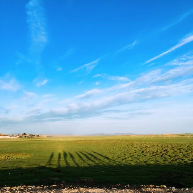 聚：全网 多平台内容抓取分析工具