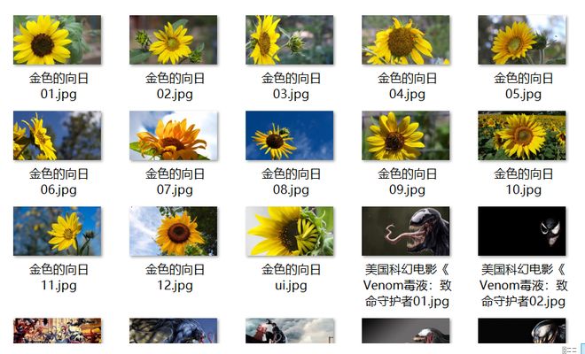 里番本子在线精品区jpd 本线让我们共同遵守法律法规