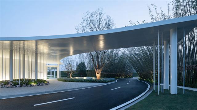 困困狗万圣节 圣节让狗狗“寻宝”