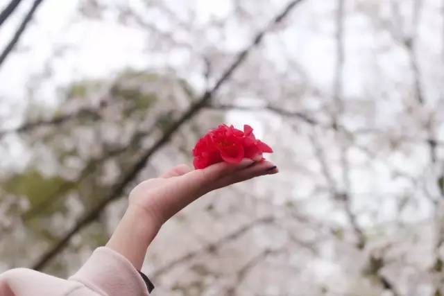 亚洲精品视频91