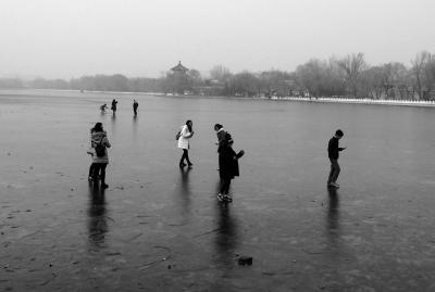 www xpicvid +cn 但在您输入的上下文中