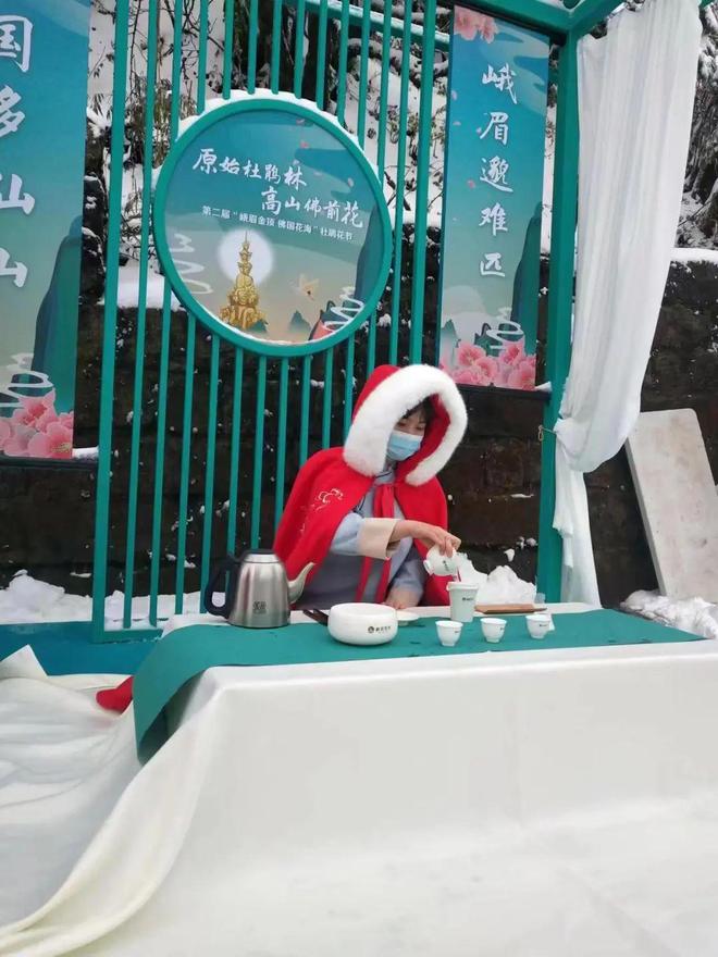 推特视频网站在线观看 网站访问 Twitter.com(即 X.com)