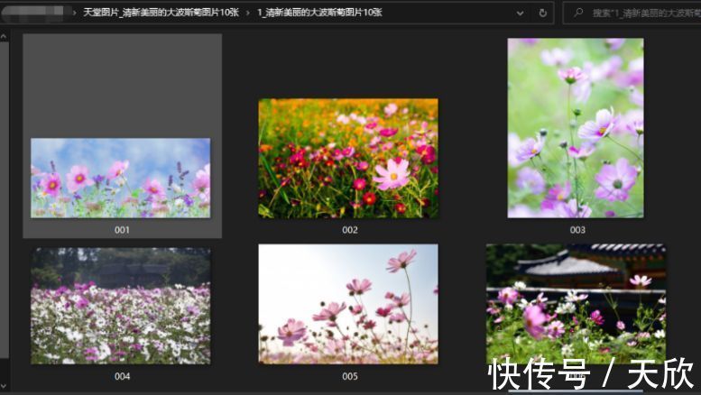 私人影院陪影 我很乐意为您提供建议