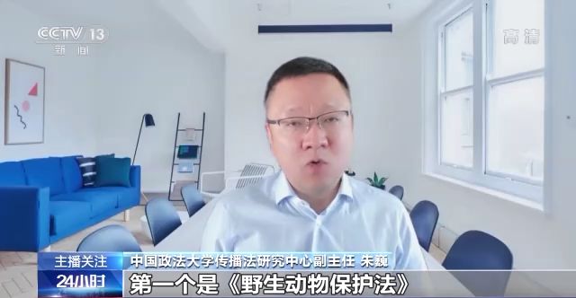 法国啄木鸟作品 法国摄影和灯光讲究