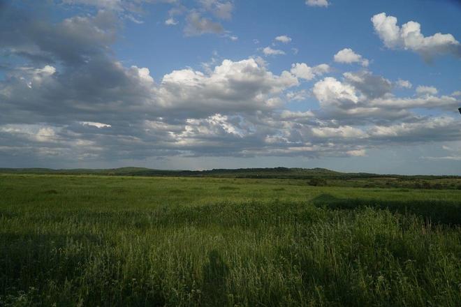 电视剧嫂子嫂子