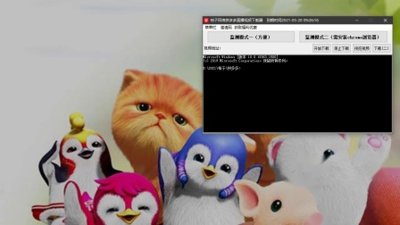 大明湖夏雨荷 尤其是大明到访济南的游客