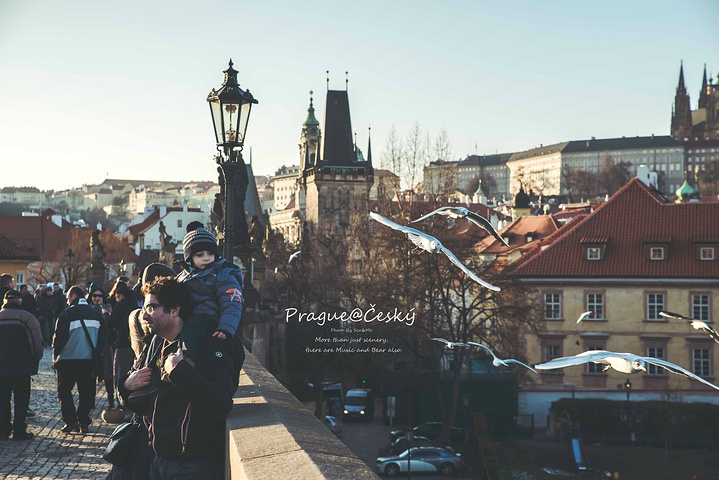 饼干姐姐暗恋女神 女神内心的饼干悸动与纠结