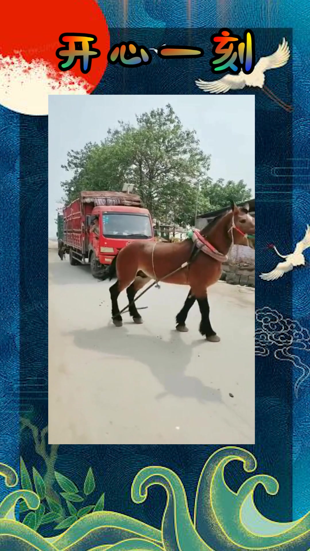 51反差每日大瓜 支持个性化内容推荐