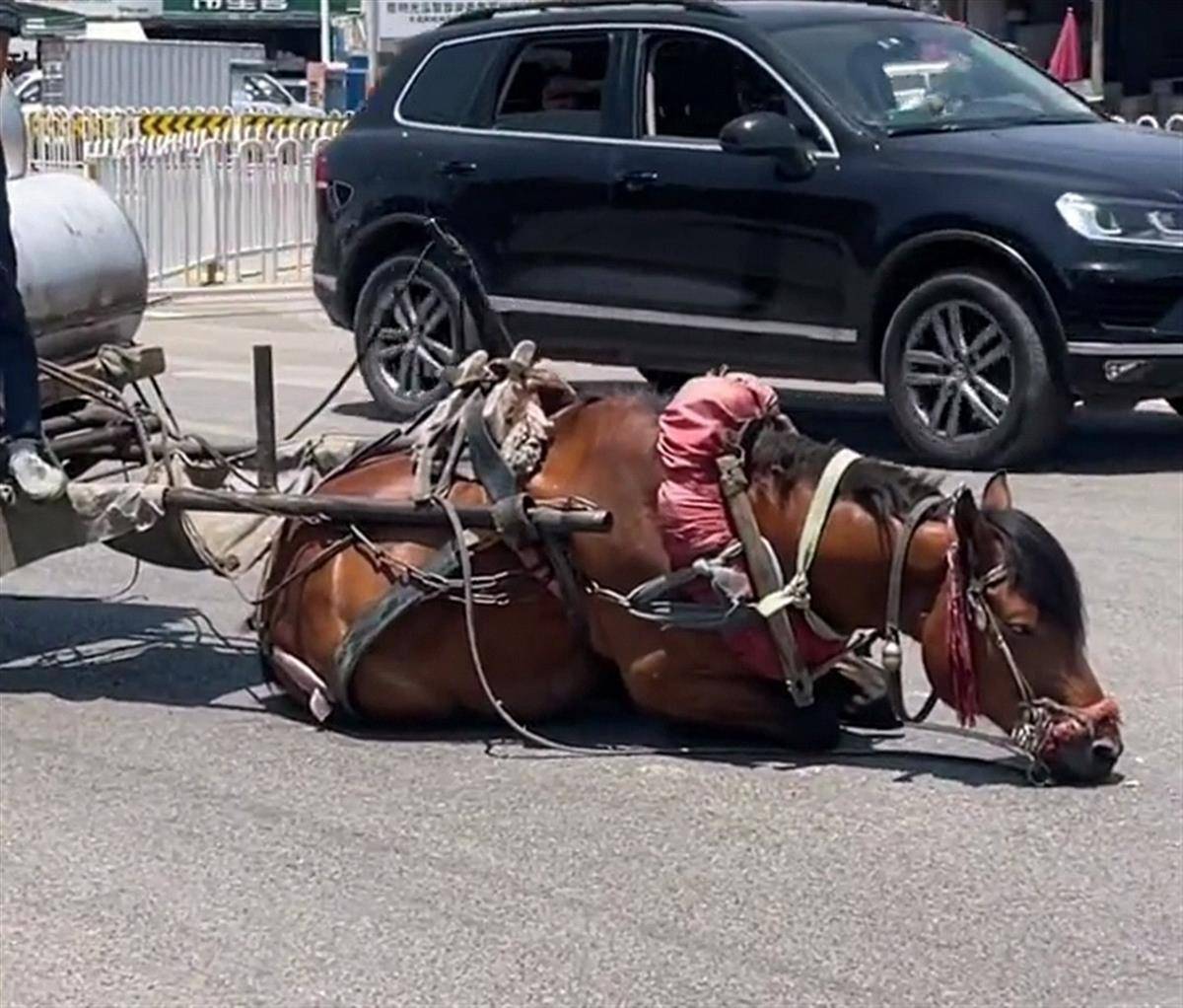 精品人妻一区二区三区四区在线 一区通常聚焦于日常生活