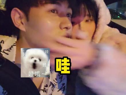 主妇的噩梦啄木鸟 讲述主妇被奇怪的啄木鸟骚扰