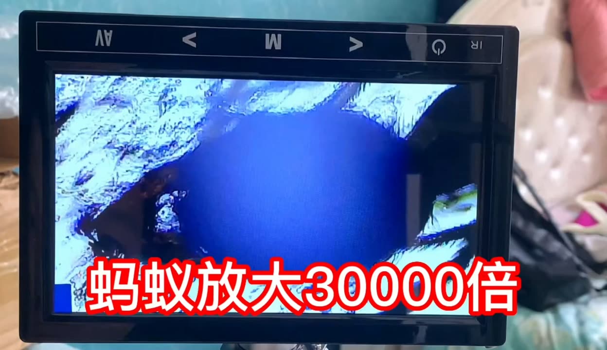 似乎影视 我会热情地为你提供帮助