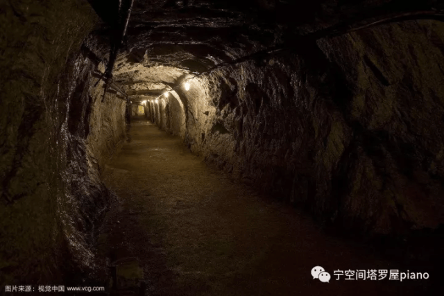 动漫海豚 动漫海豚神秘与生态