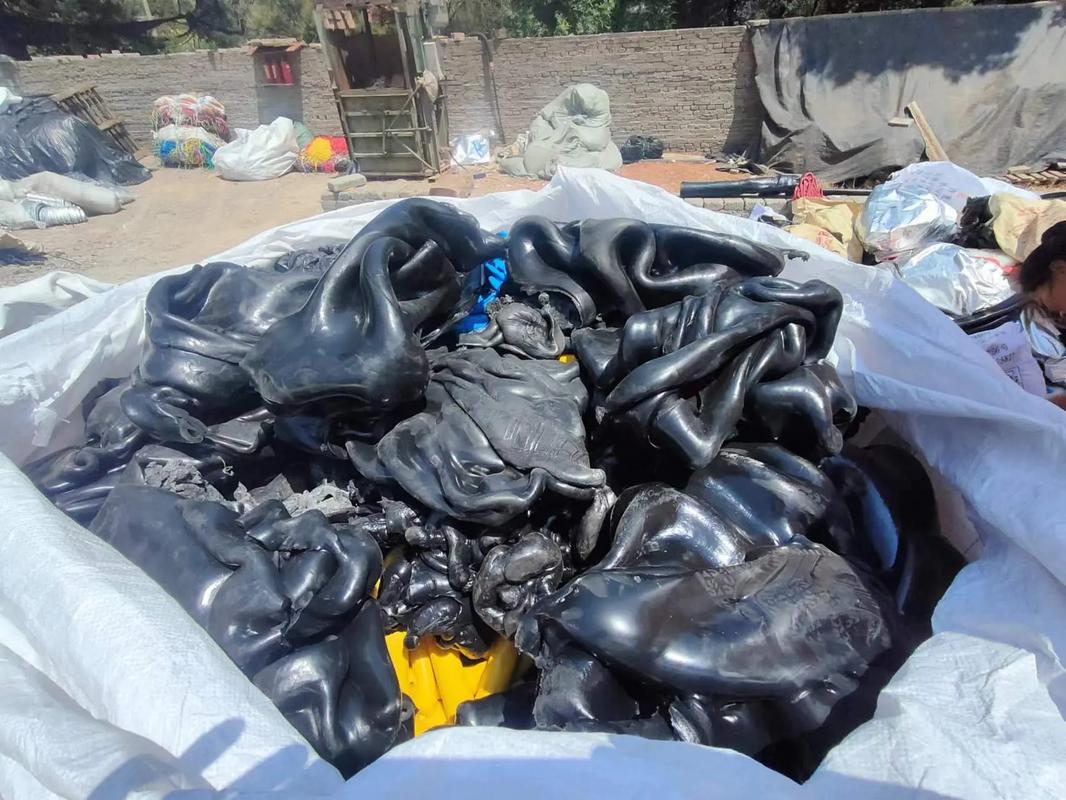 梦舍孪生兄弟库 兄弟以拯救现实世界