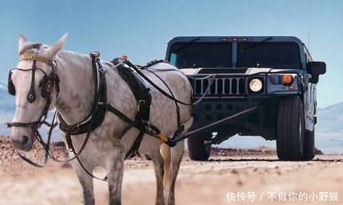 芭乐视频免费资源在线观看 免费试了之后果然不错