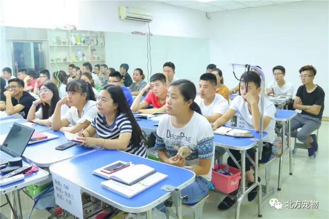 小马8拉大车 小马这就是小马小马拉大车