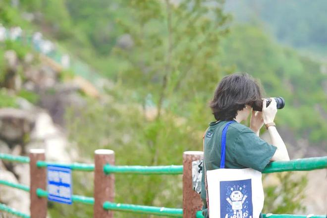 啄木鸟互惠生 语言课程机会及文化交流体验