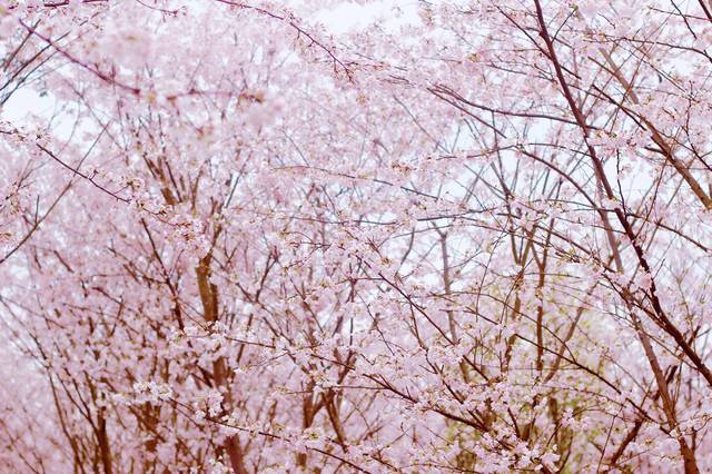 成熟的欧美精品SUV 一款成功的美精精品SUV