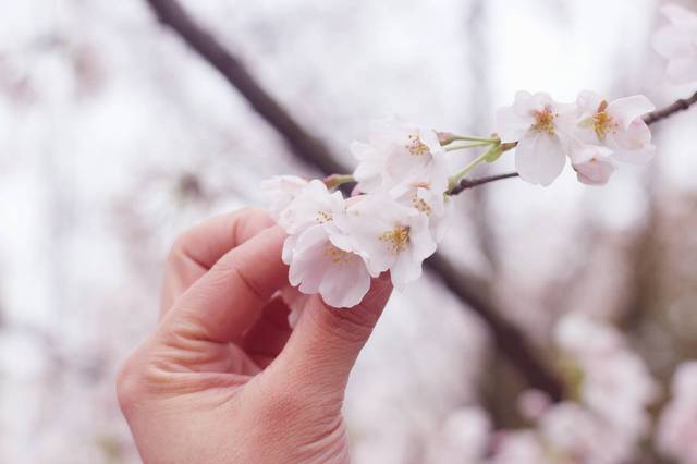 旧里番大全 我很乐意为您提供帮助