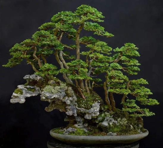 旧里番大全 我很乐意为您提供帮助