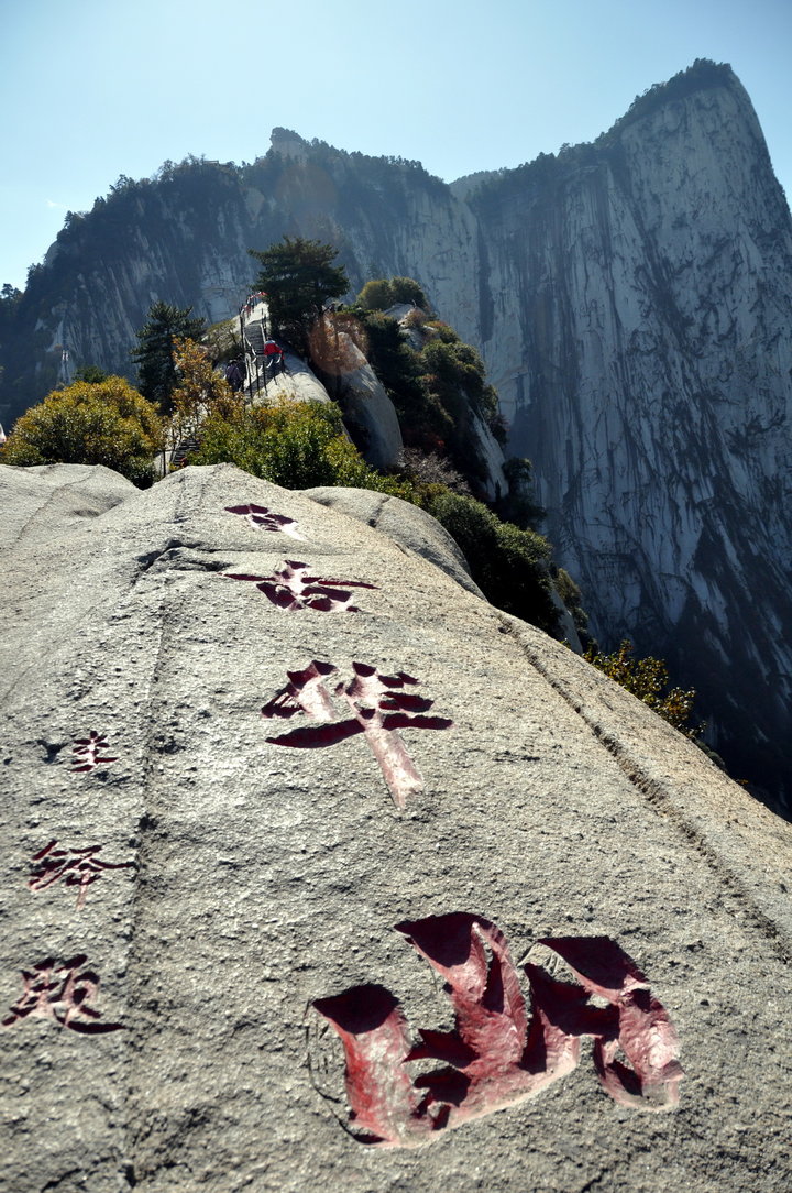 啄木电影 任何相关的在线观看、您好