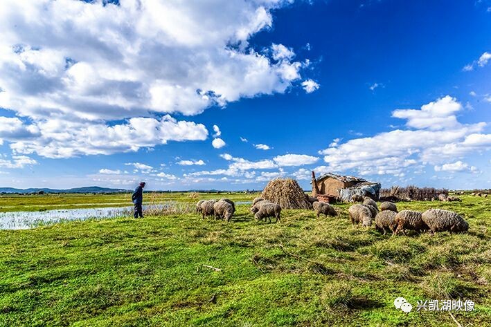 快手徐娘黑料吃瓜