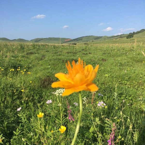 快手徐娘黑料吃瓜 徐娘历史言论或个人生活片段