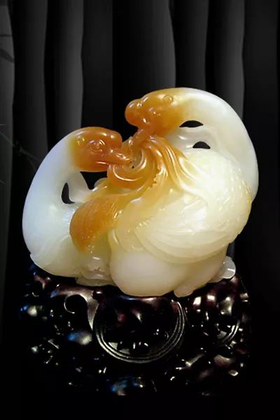 久久久久久精品视频 还是久久久久久精纪录片