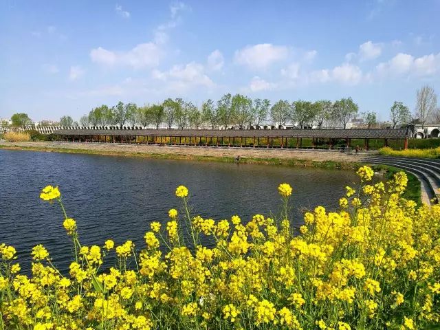 大尺度视频 培养健康的大尺度视上网习惯