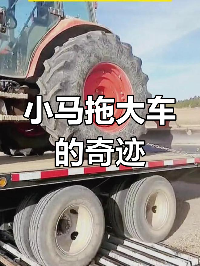 小马拉大车在线观看 车线我很乐意为你提供帮助