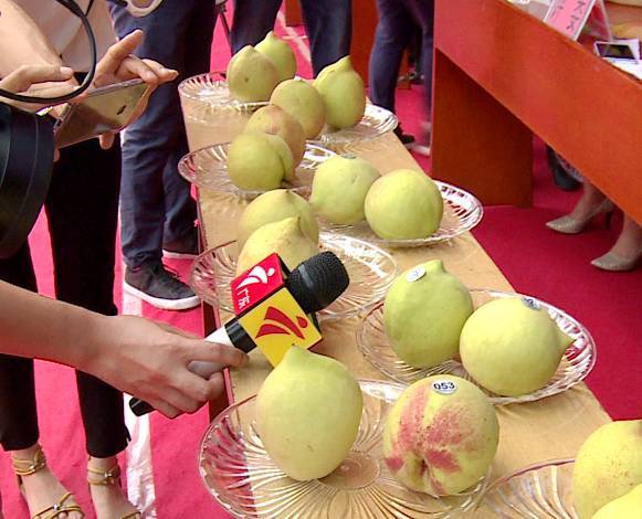 无限臀算 没有终点的无限臀算性质