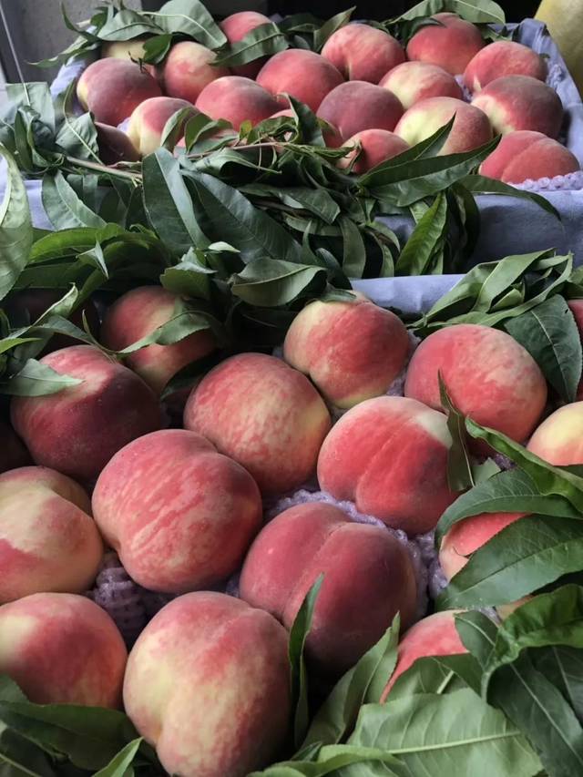 小牛导航大全 使用体验在实际使用中