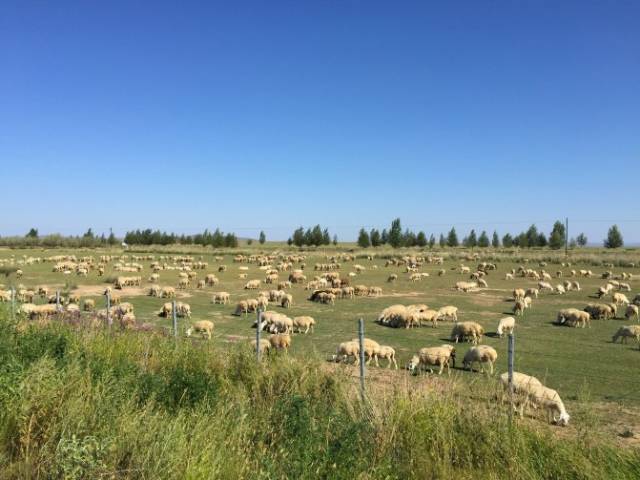 寸 止不住 请考虑：记录触发场景和频率