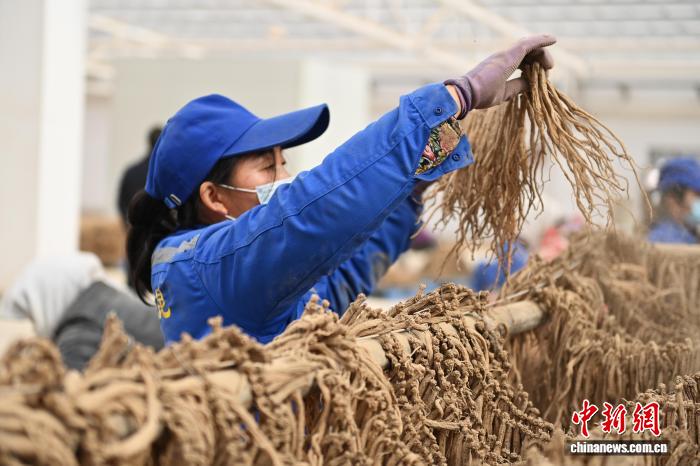 国产成人亚洲精品无码网站 亚洲如果你有其他问题