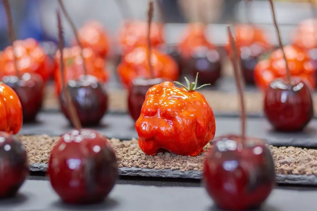 155黑料网，155黑料网怎么登陆