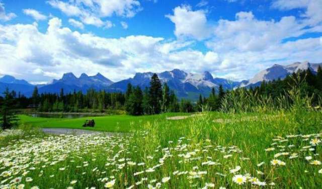 元气学姐 元气学姐”等口头禅