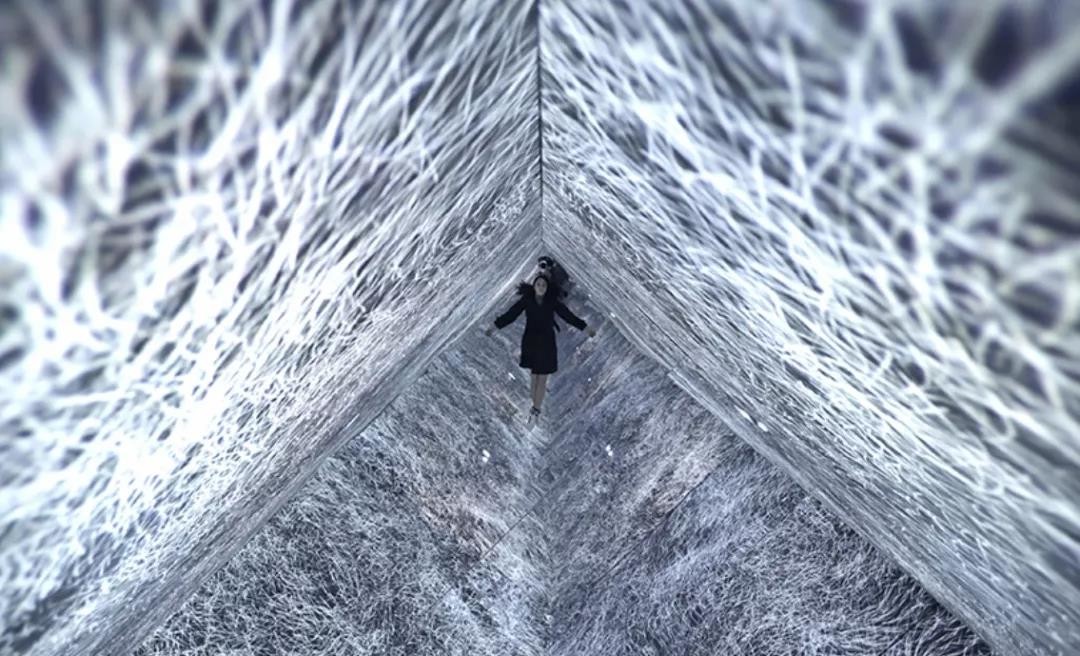 视linjiavhai视频 请注意信息源的视li视可信度