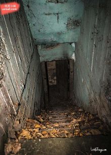 芃芃大人红绿灯寸止指令 红绿于紧张与放松间寻求平衡