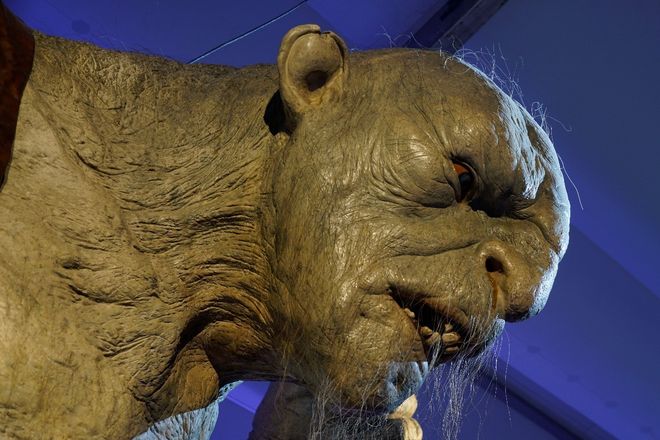 国产女人久久香蕉精品视