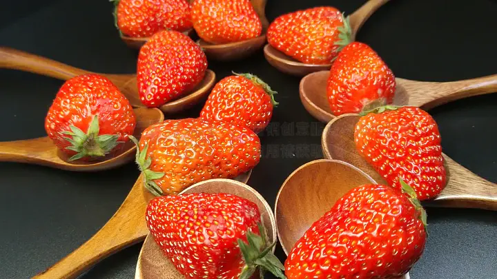 啄木鸟电影 啄木甚至改编自文学或电影