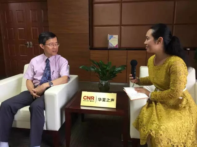 啄木鸟恐怖 关于“啄木鸟恐怖”这个说法