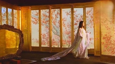 菠萝蜜国际通道入口 菠萝注意安全：在任何情况下